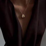 Le Collier Alleanza